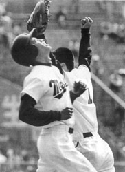 Ichiro052-1.JPG (19002 bytes)